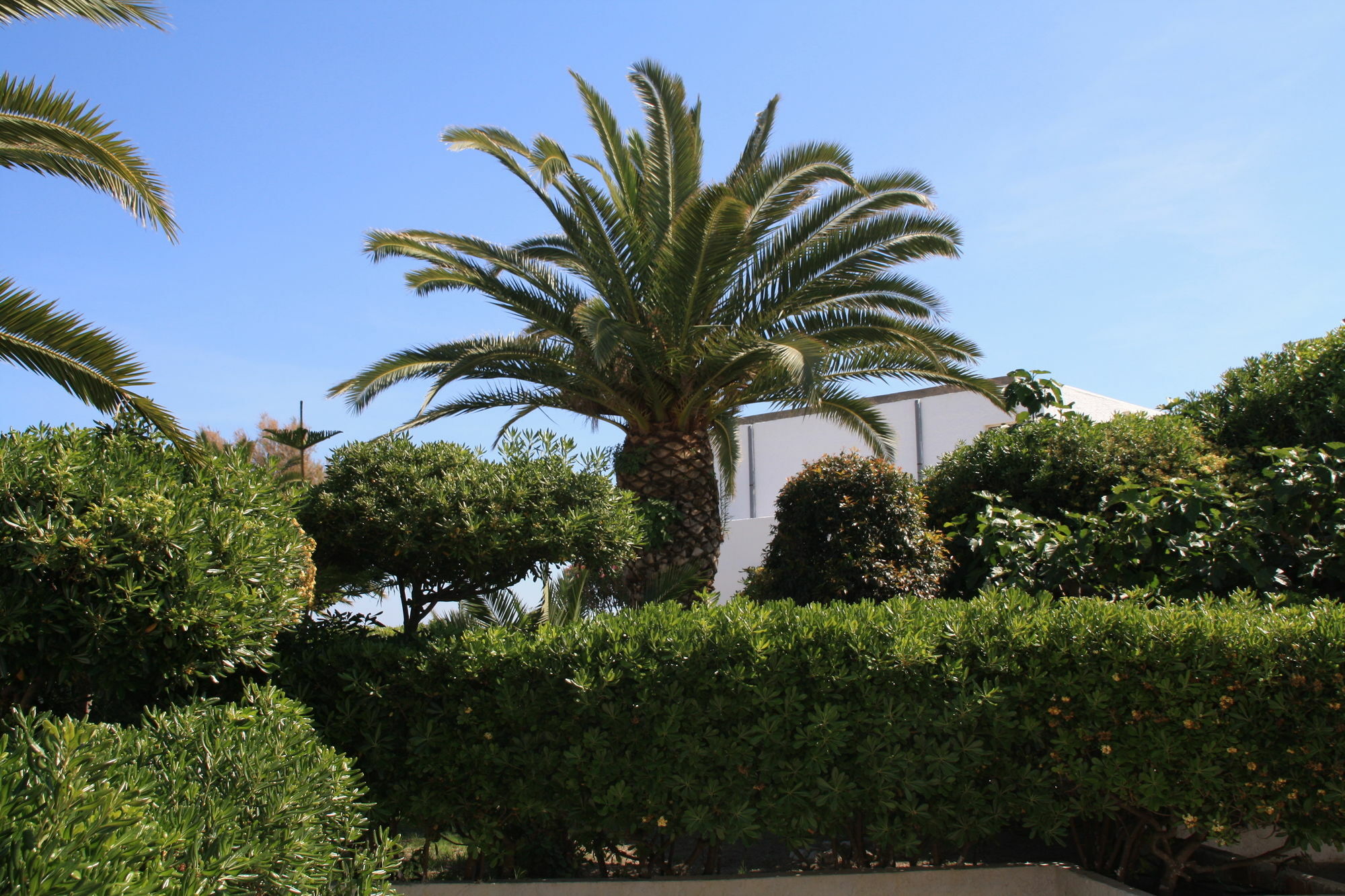 Hotel Villaggio Club Altalia Residence Brancaleone Bagian luar foto